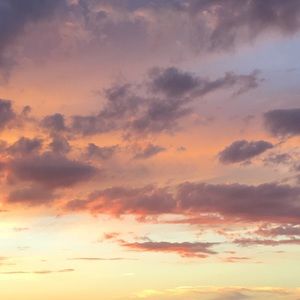 Meet your Posher, Chloe